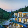 Отель Anji Lanshe Homestay (Zhongnan Baicaoyuan Yuan Anji Natural Museum Branch), фото 1