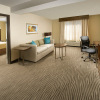 Отель Holiday Inn El Paso Airport, an IHG Hotel, фото 6