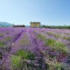 Отель Agriturismo Ca Bacchetta, фото 26