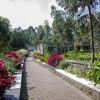 Отель Musanze Caves Hotel, фото 33