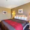 Отель Best Western Plus Ogallala Inn, фото 40