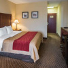 Отель Comfort Inn & Suites, фото 23