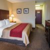 Отель Comfort Inn & Suites, фото 26