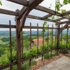 Отель Vineyard cottage Kump, фото 19