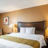 Отель Quality Inn & Suites Pacific - Auburn, фото 17