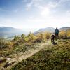 Отель Oppdal Turisthotell, фото 28