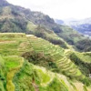 Отель Banaue Sunrise Guest House, фото 11