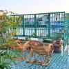 Отель Hà Phan Holiday House, фото 8