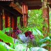 Отель Daintree Rainforest Retreat, фото 10