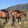 Отель Estancia las Carreras, фото 7