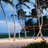 Отель The Westin Puntacana Resort & Club, фото 29