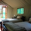 Отель Mtomeni Safari Camp, фото 2