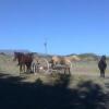 Отель Hostería Estancia Turística La Serena, фото 4