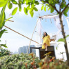 Отель Cherry apartment - Thao Dien Centre, фото 13