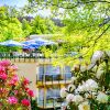 Отель Villa Marburg Im Park, фото 31