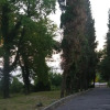 Гостиница Golubaya Dacha, фото 10