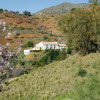 Отель Rural Montes Málaga: Cortijo La Palma, фото 9