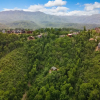Отель Hollow's Haven by Avantstay Hot Tub, Sauna, Balcony and Tree Top Views, фото 14