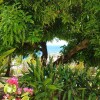 Отель Studio In Schoelcher With Wonderful Sea View Enclosed Garden And Wifi, фото 9