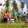 Отель Maravu Taveuni Lodge, фото 19