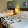 Отель Sleep Inn & Suites - Coliseum Area, фото 7