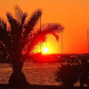 Отель Marija - Close to the sea - A1, фото 1