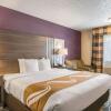 Отель Quality Inn & Suites, фото 32