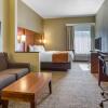 Отель Comfort Suites Bethlehem Near Lehigh University and LVI Airport, фото 43