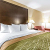 Отель Quality Inn & Suites, фото 7