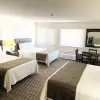 Отель Burke Inn Motel & Suites, фото 12