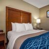 Отель Comfort Inn & Suites Jackson - West Bend, фото 3