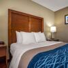 Отель Comfort Inn & Suites Jackson - West Bend, фото 5