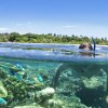 Отель Vomo Island Resort, фото 30