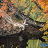 Отель Tingjian Guli Private Tang Design Homestay (Nanxun Ancient Town Baijianlou Scenic Area Branch), фото 12