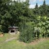 Отель Snug Holiday Home in Quedlinburg near Forest, фото 9