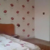 Отель Pensiunea Adriana, фото 3