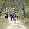 Отель Agroturismo La Artezuela, фото 15