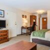 Отель Comfort Inn & Suites, фото 3