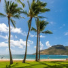 Отель Malu Kauai, A Beautiful Kauai 1 Mile From Kalapaki Beach 1 Bedroom Home by RedAwning, фото 12