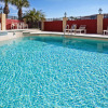 Отель Holiday Inn Express Hotel & Suites Tampa Northwest - Oldsmar, an IHG Hotel, фото 14