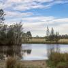 Отель Lovedale Red Gum Cottage, фото 23