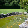 Отель Villa Rinata, фото 21