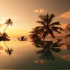 Отель Taveuni Palms, фото 13