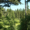 Отель Smoky Bear Ranch Bed & Breakfast & Cabins, фото 21