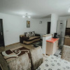 Отель Casa Andreea și Grigore Ursu, фото 6