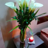 Отель Hostal Xica, фото 7