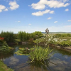 Отель Meadow View, фото 13