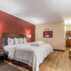 Отель Red Roof Inn PLUS+ & Suites Houston - IAH Airport SW, фото 6