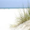 Отель Ocean Eight, фото 2