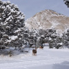 Отель Cliffside House - 3 Bedroom Near Mt Princeton Hot Springs Home, фото 17